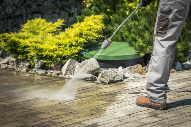 Animal Enclosure Cleaning in Broadview, IL