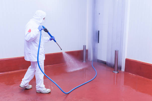 Reliable Broadview, IL Pressure Washing Services Solutions